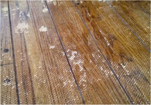 Are Ruggable Rugs Safe for Hardwood Floors