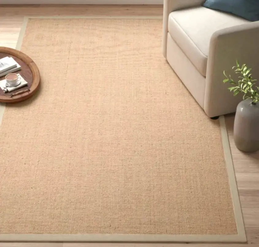 How to Get Dog Pee Out of Jute Rug