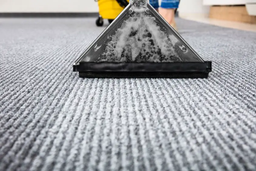 Do You Need To Vacuum Before Carpet Cleaning