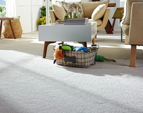 Where To Buy Stainmaster Pet Protect Carpet