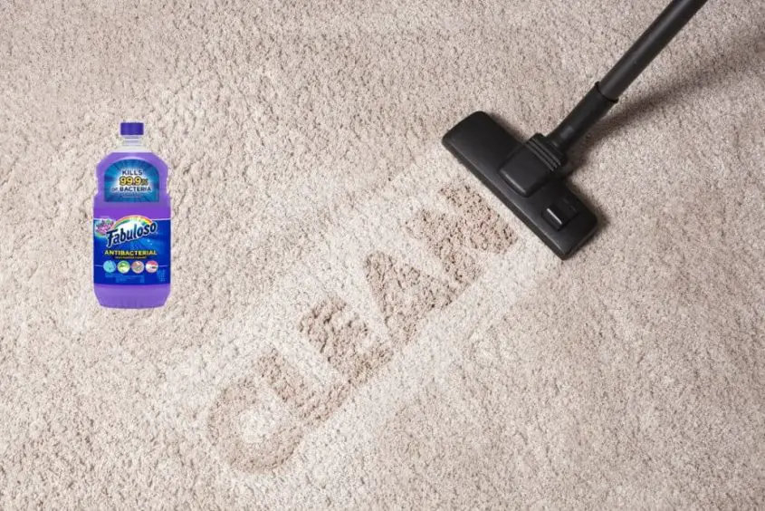 Can You Use Fabuloso In A Carpet Cleaner