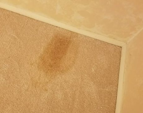 How To Get Clay Out Of Carpet