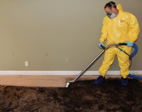 How To Clean Carpet After Sewer Backup