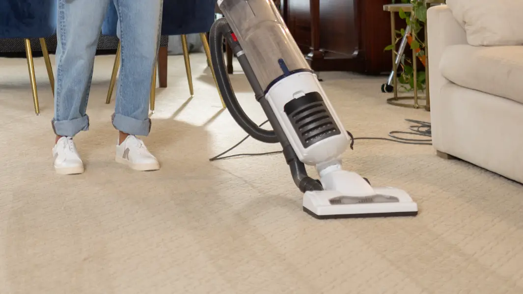 What To Do Before Carpet Cleaners Come